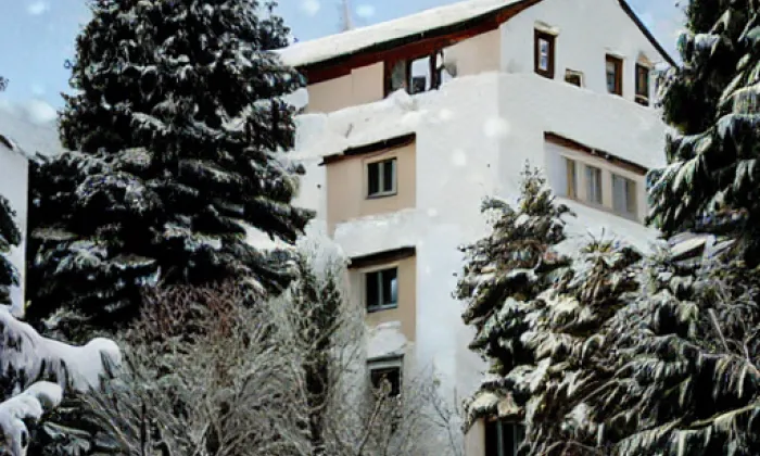 Divišova vila – winter