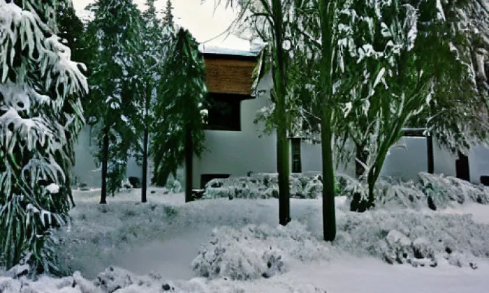 Dlouhá cesta – winter