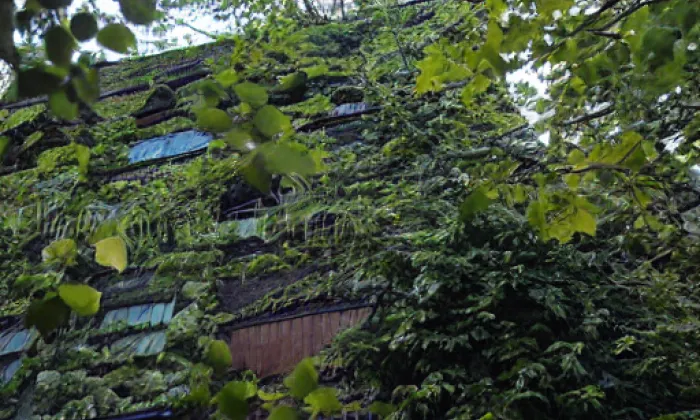 Domek zaměstnanců, Zahrada Kinských – jaro