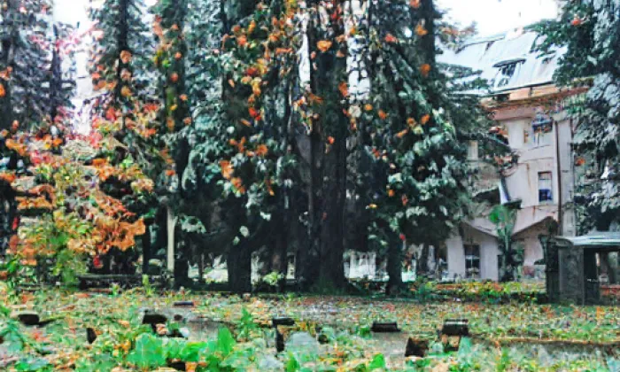 Dvořákovy sady (Opava-Město) – podzim