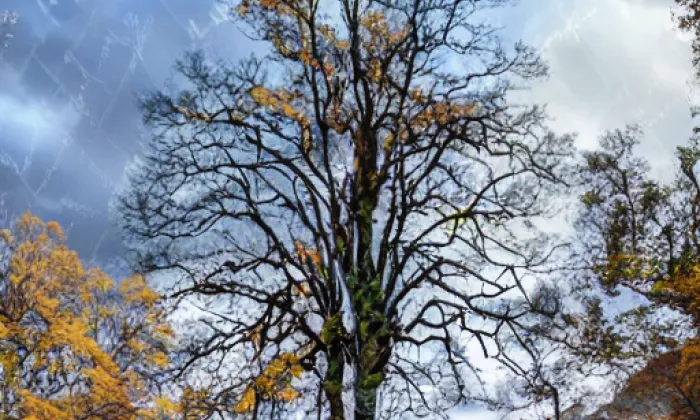 Dvoreček – autumn
