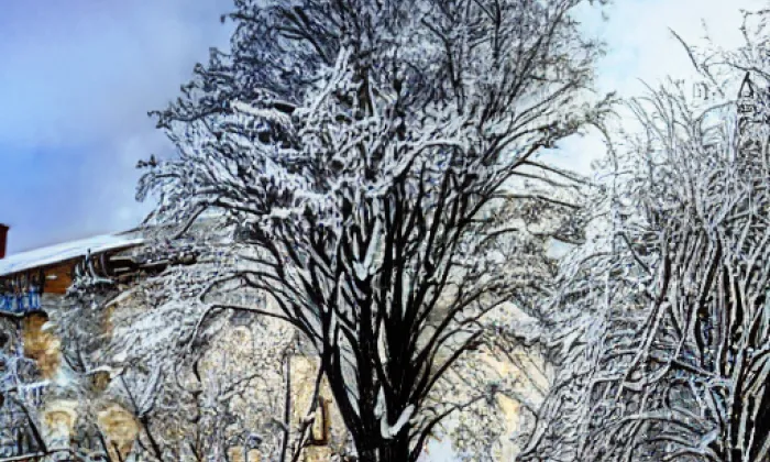 Dvoreček – winter