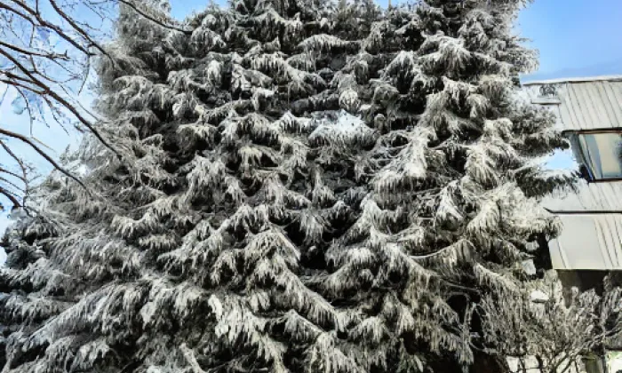 Egerberk – winter