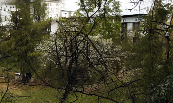 Horní Dlouhá Loučka – spring