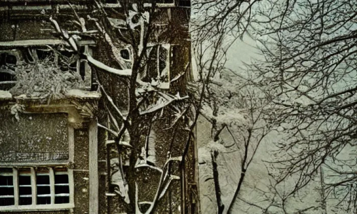 Hrádek u Sudoměře – winter