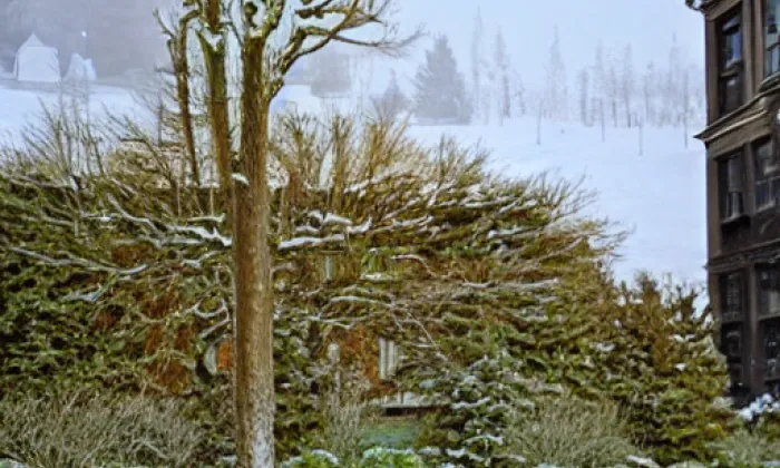 Hrad Plumlov – winter