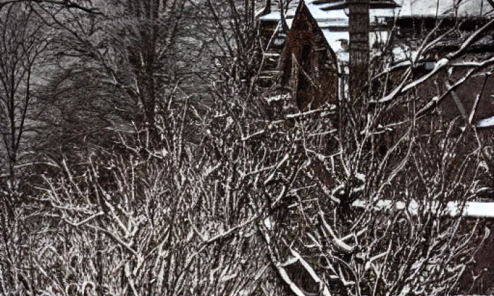 hrad Sobín – winter