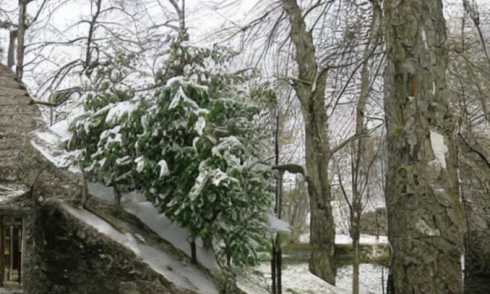 Jezdec – spring