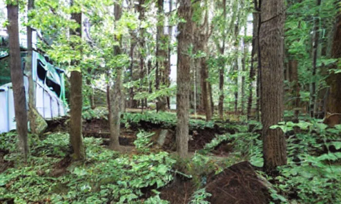 Křikava – noc