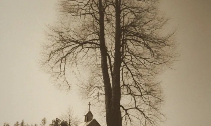 kaple Nejsvětější Trojice (Doubice) – historical