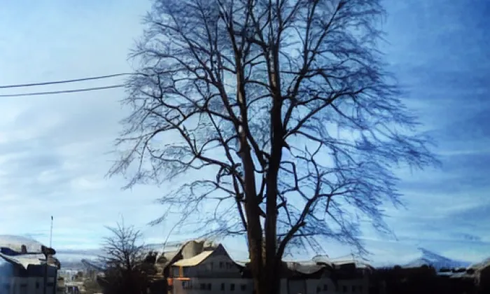 kaple Nejsvětější Trojice (Doubice) – winter