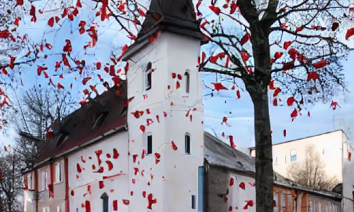 kaple svatého Prokopa (Pikárec) – spring