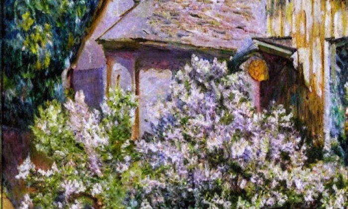 Kost – spring