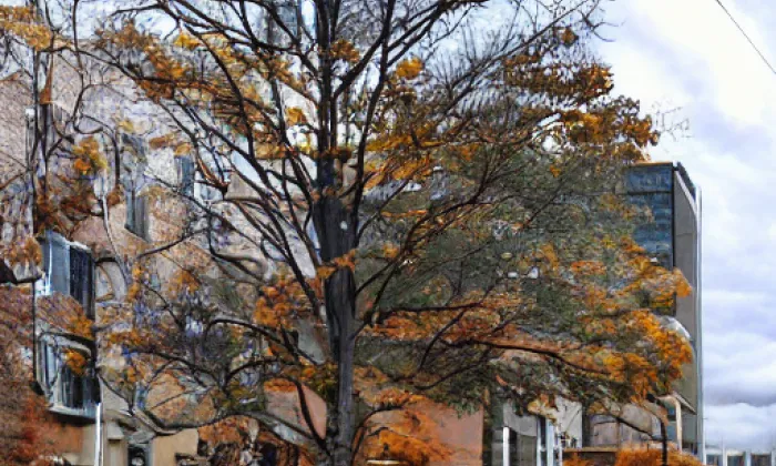 Kostel Narození Panny Marie (Klatovy I) – autumn