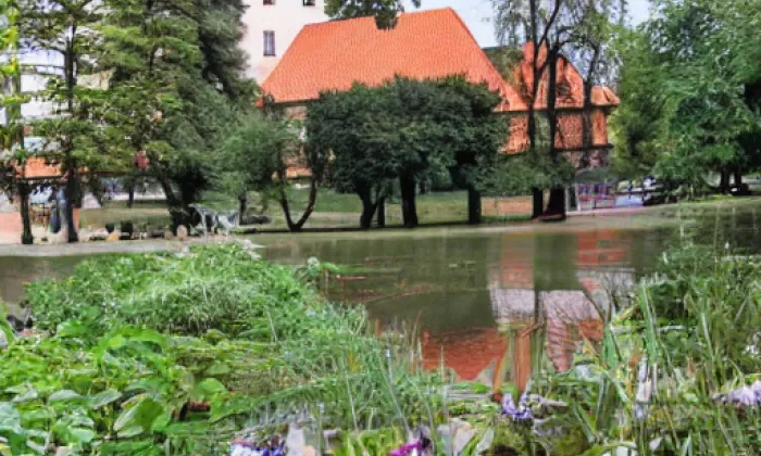 kostel svatého Martina (Žimutice) – summer