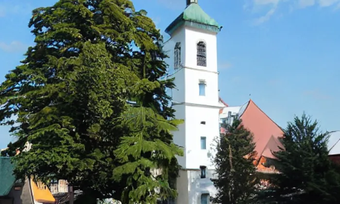 kostel svatého Petra a Pavla (Těšetice) – léto
