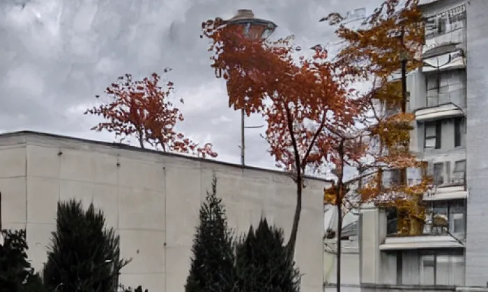 kostel svatého Václava (Bratčice) – autumn