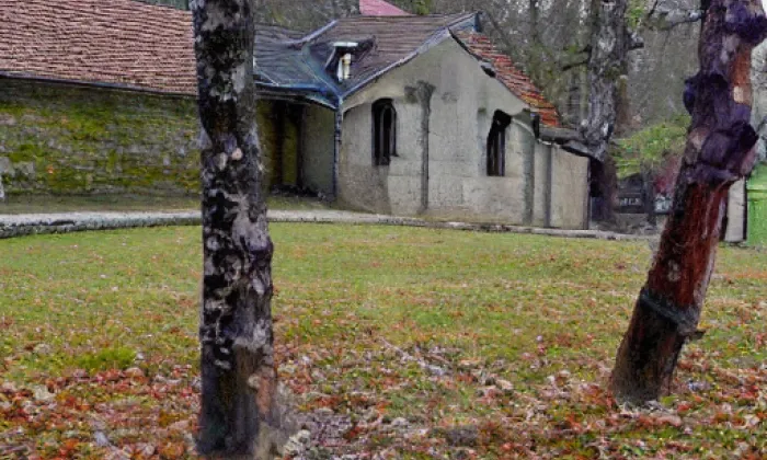 Kostel svatého Václava (Louka) – spring