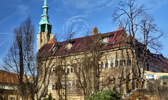 Kostel svatého Václava (Staňkovice) – jaro