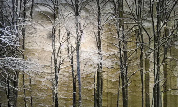 Koupark – zima