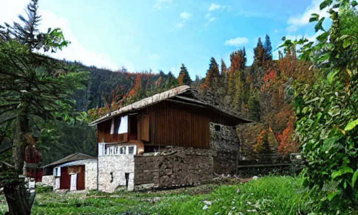 Královská obora – zima