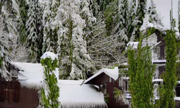 Labe – winter