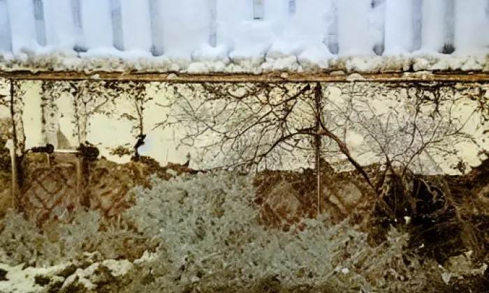 Lanšperk – winter