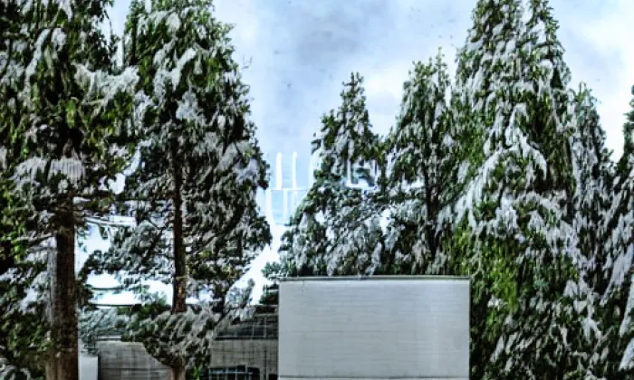 Ležáky – winter
