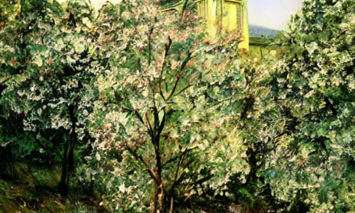 Levnov – spring
