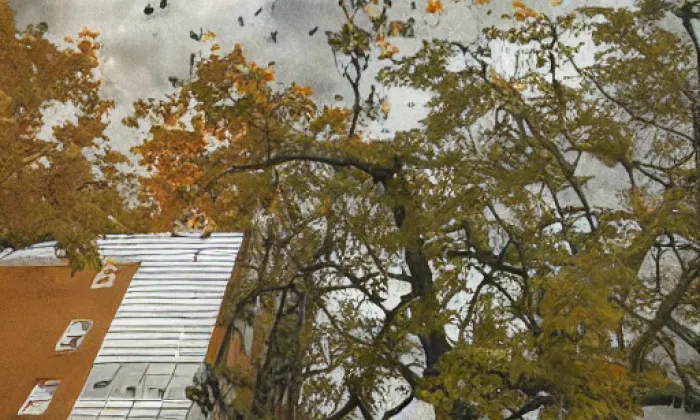 Lopata – autumn