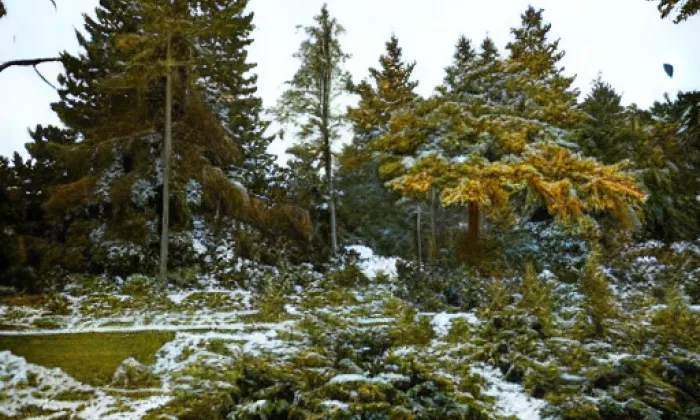 Louzek – winter