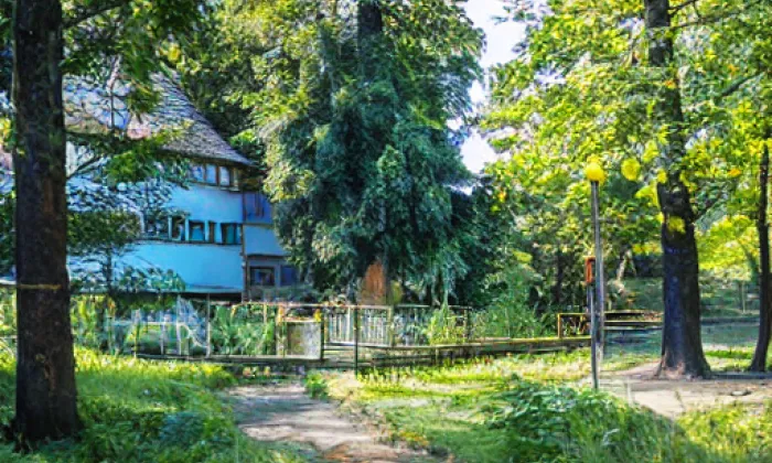 Lužánky – podzim