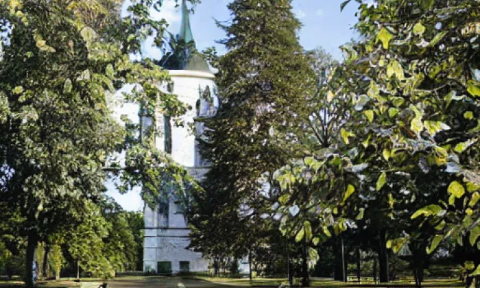 Městský park – iluminace