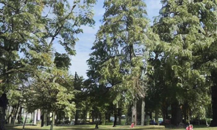 Městský park – noc
