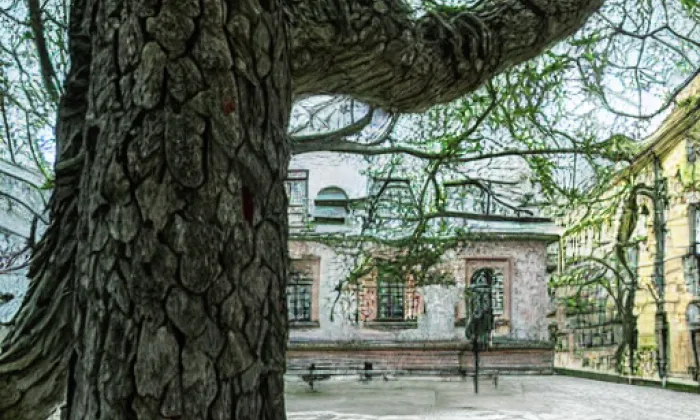 Městský park v České Lípě – iluminace