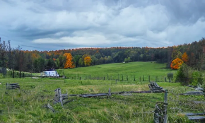 Milkov – autumn