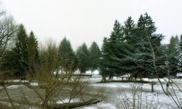 Mušlov – winter
