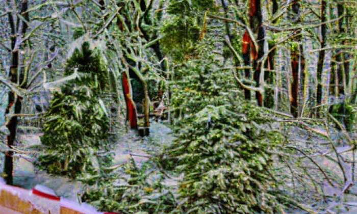 náměstí Družby – winter