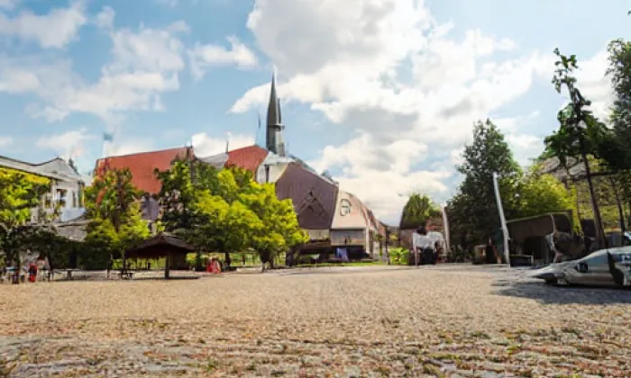 Národní hřebčín Kladruby nad Labem – summer