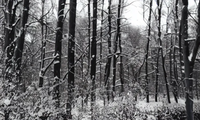 Najštejn – winter