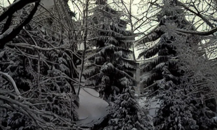 Netřeb – winter