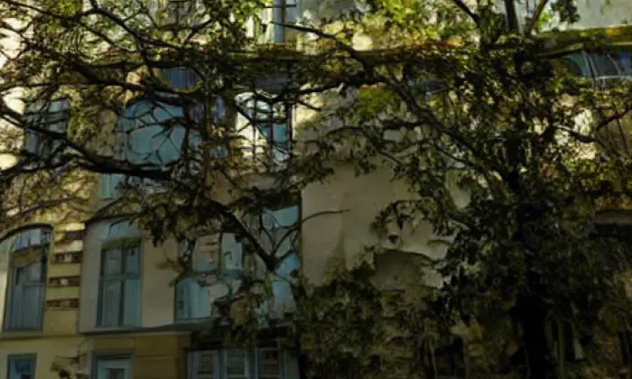Okna – léto