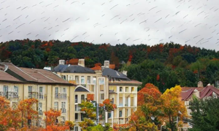 Osojno – autumn