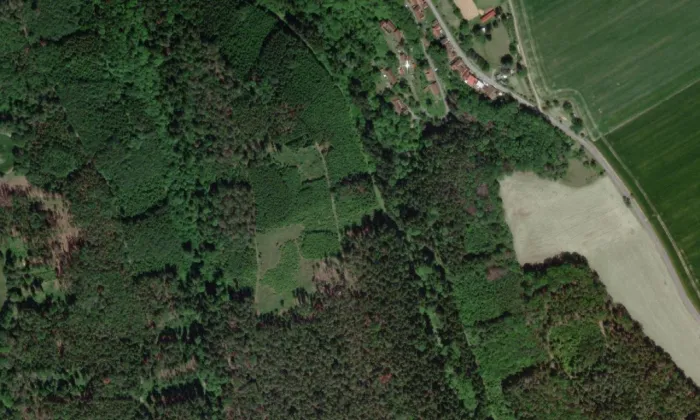 Pěšice (hradiště) – letecký pohled