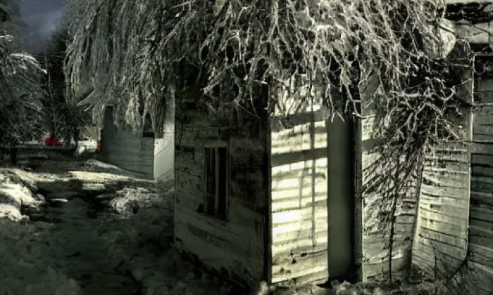 Palackého sady – winter