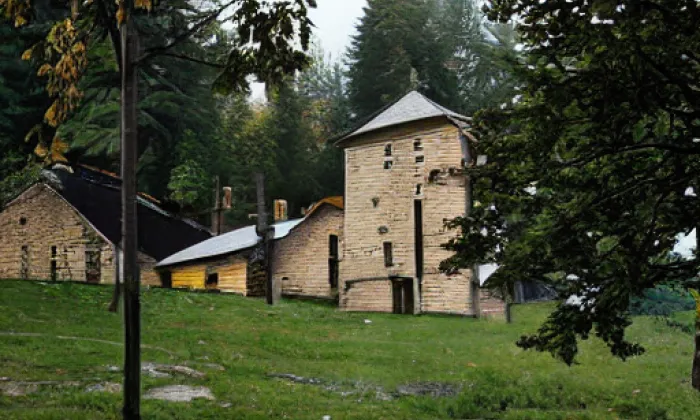 Park Špilberk – autumn