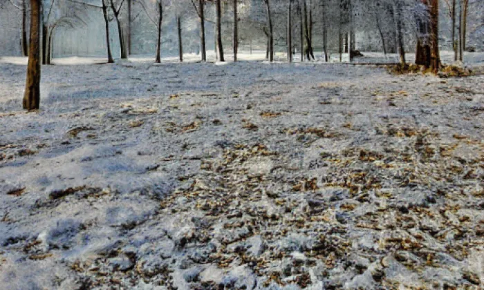 Park Abácie, Valašské Meziříčí – winter