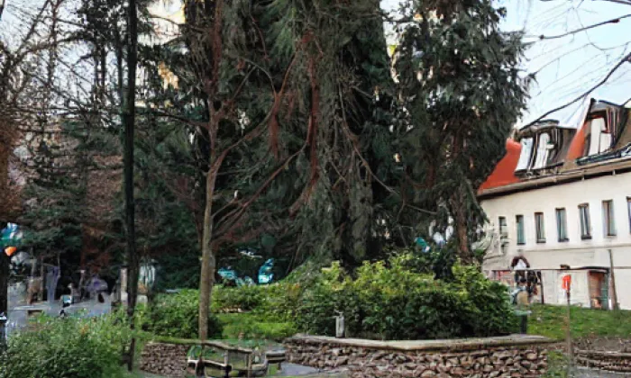 Park Antonína Švehly – léto