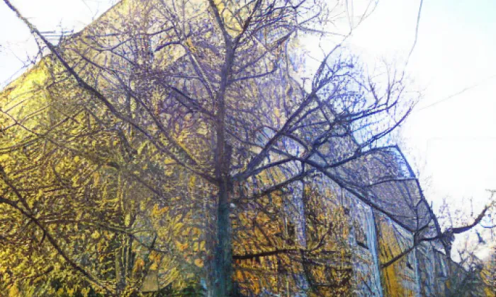 Park Boženy Němcové – autumn