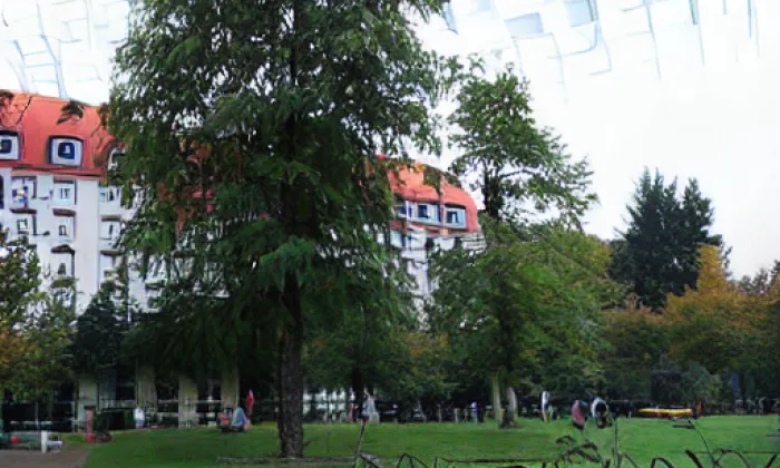 Park Charlotty G. Masarykové – zima
